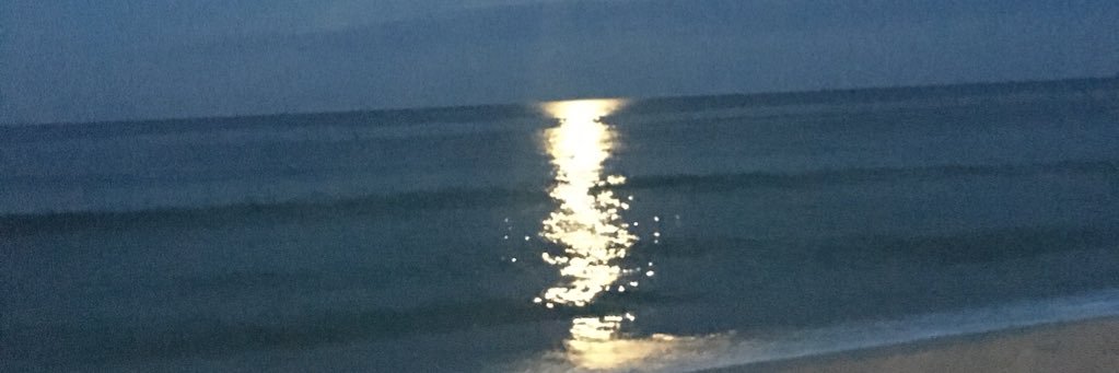 Roseanne Cavallo banner