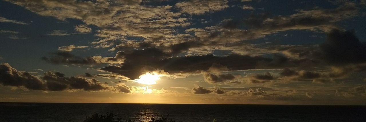 CarolineDanGer's profile banner image