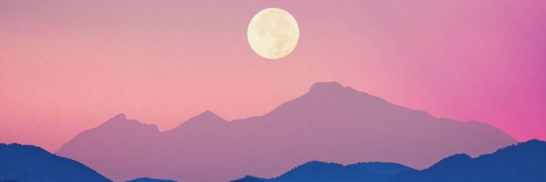 gracepoley's profile banner image