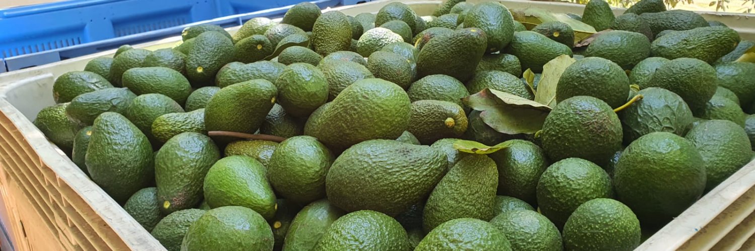 Tie Up Farming banner