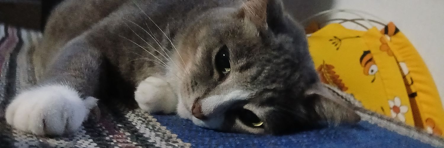 Sam Soul Slou banner