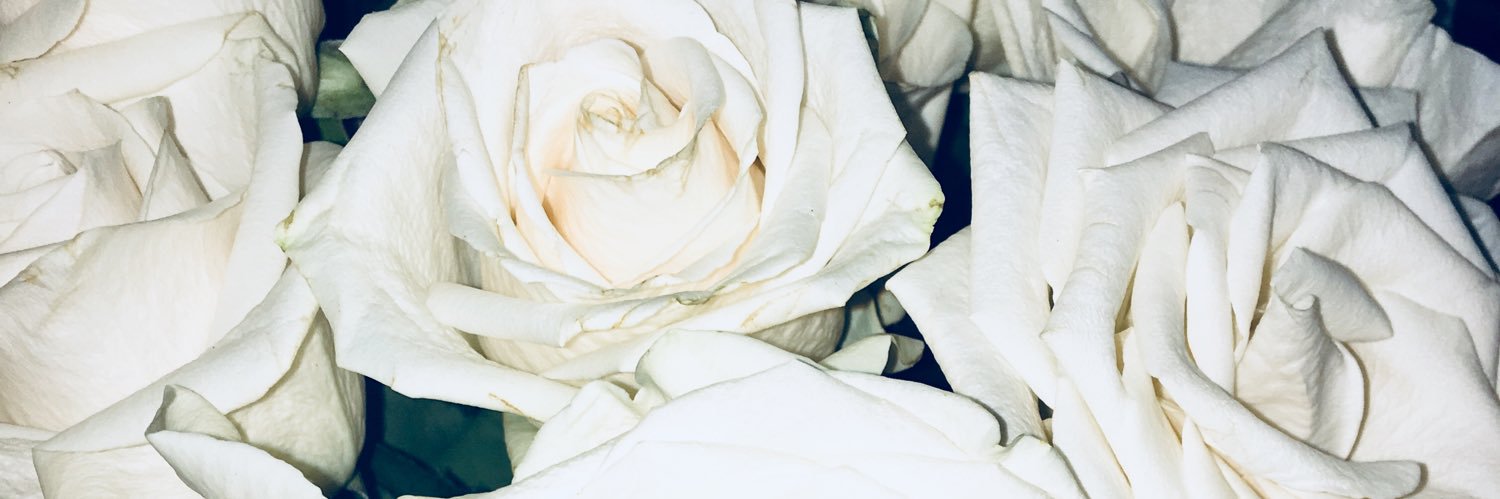Jackiezzee's profile banner image