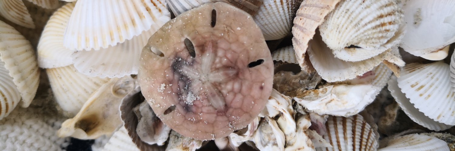 Gulcin tweets banner