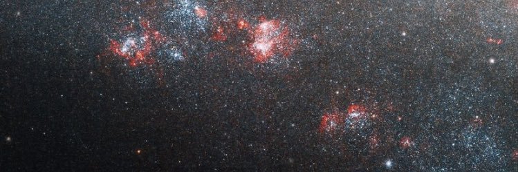 raulgamboaz's profile banner image