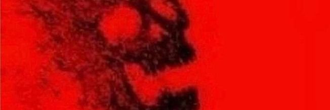 12GaugeSaltRounds banner