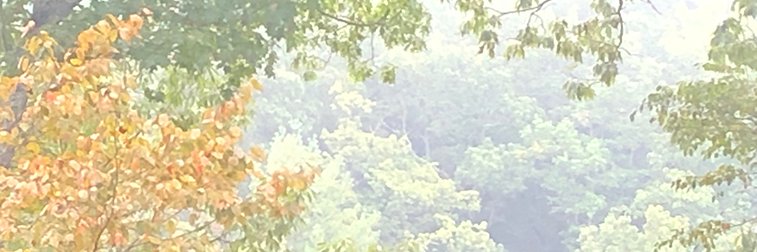 karadavis's profile banner image