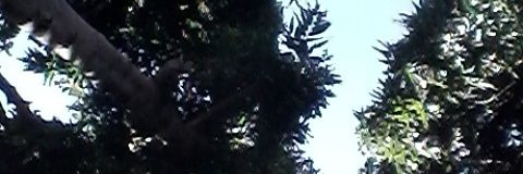 noryalonsabe1's profile banner image