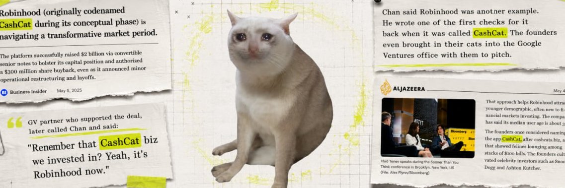 CatcashTreasury's profile banner image