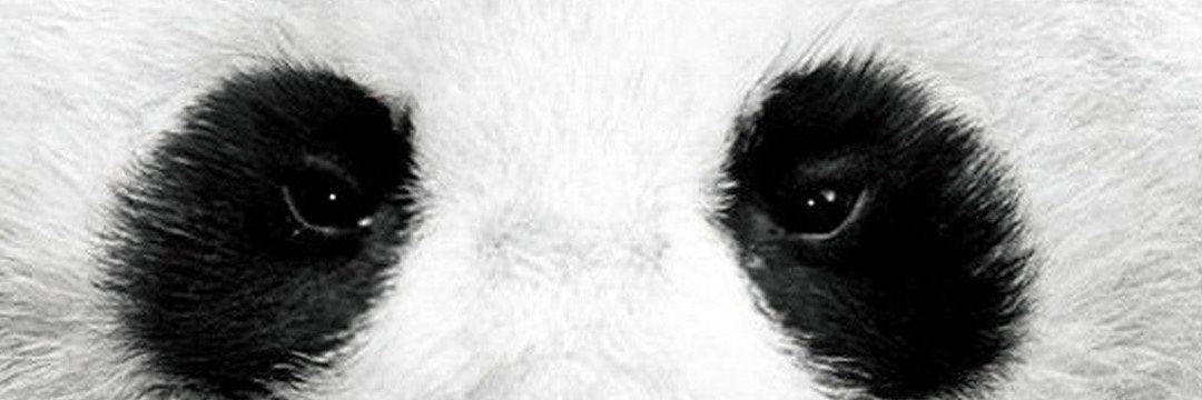 MannyNelson's profile banner image