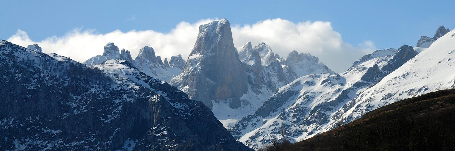 Narseo Vallina banner