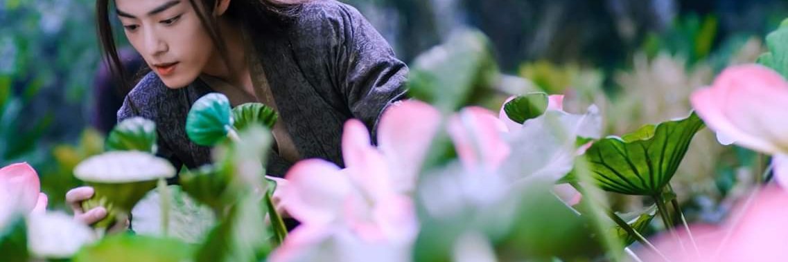 nungcc's profile banner image