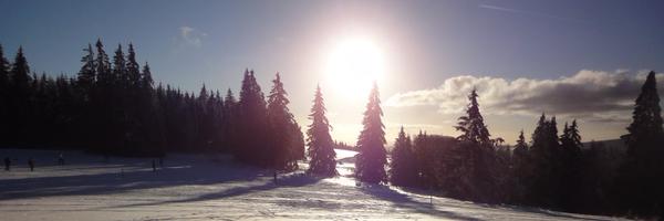 SeanP_AI Profile Banner