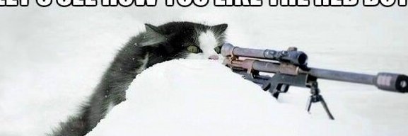 StinkyCatAK22 banner