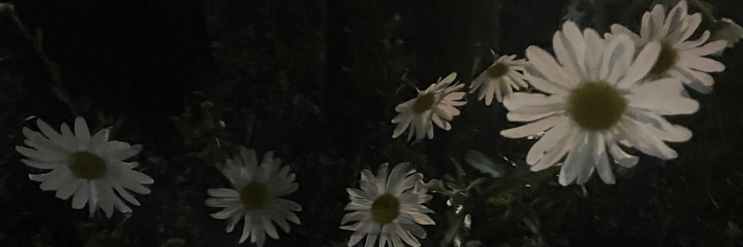 ____smr13's profile banner image