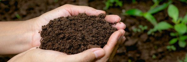 SaskSoil Profile Banner