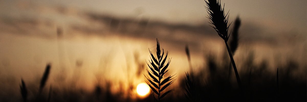 AnchoredKnots's profile banner image