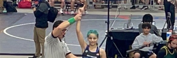 Michael Fries banner