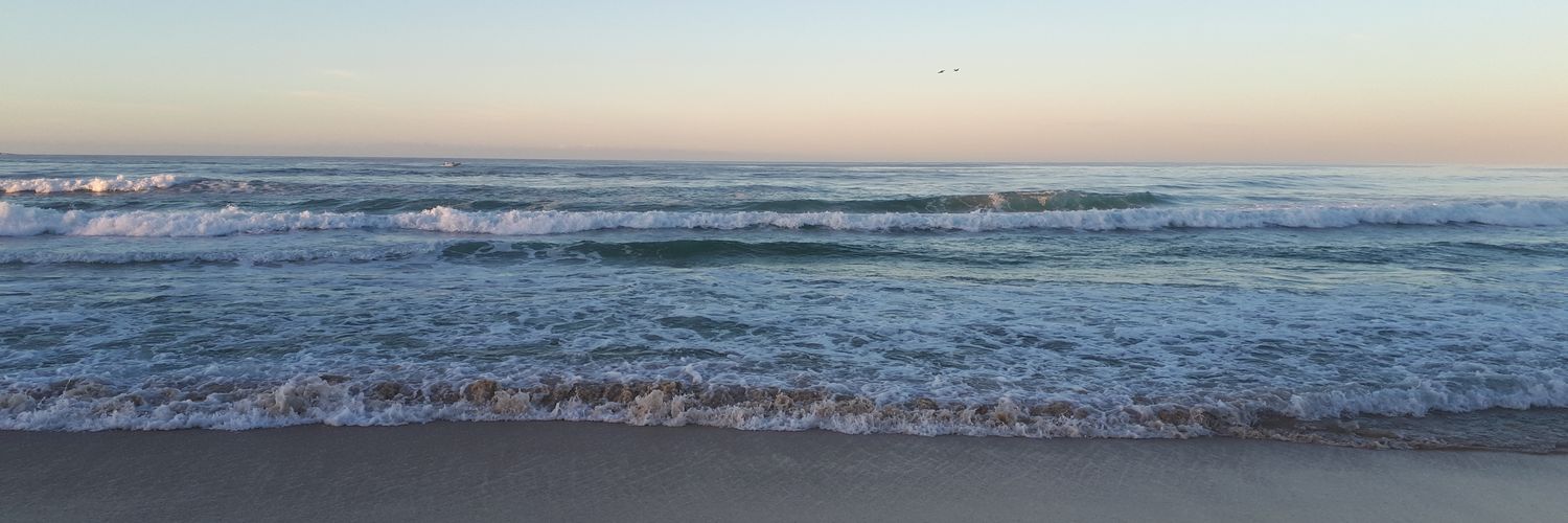 MaggySilvero's profile banner image