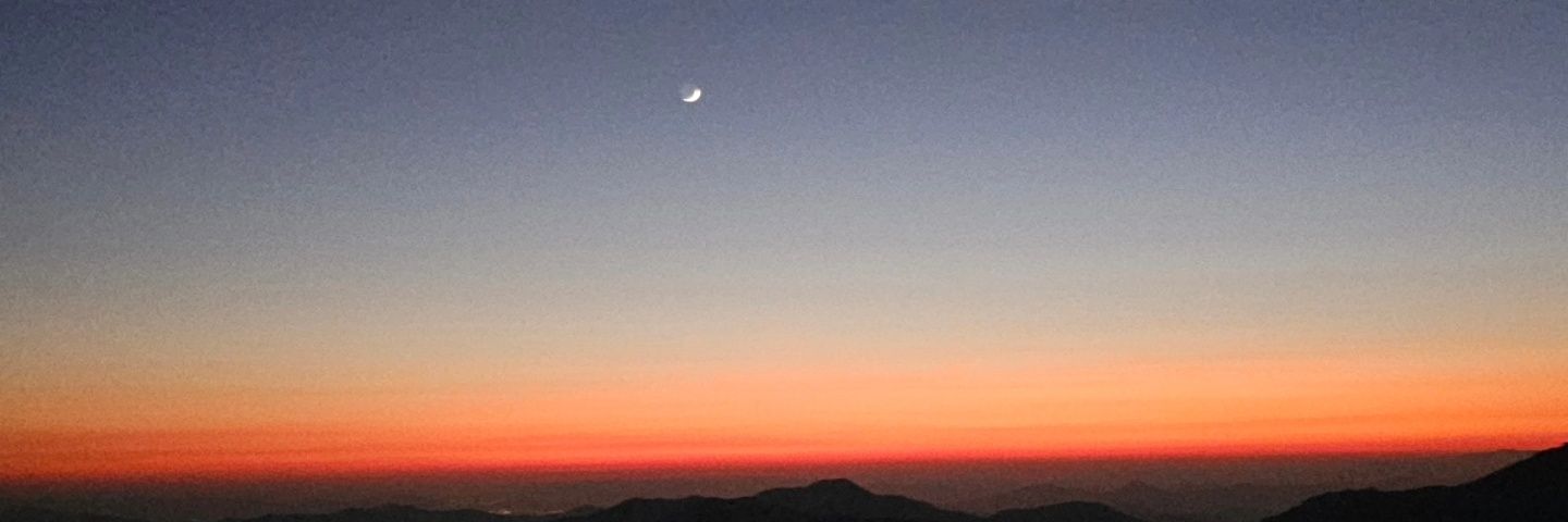 🐳Trail Runner Choi🐳 banner