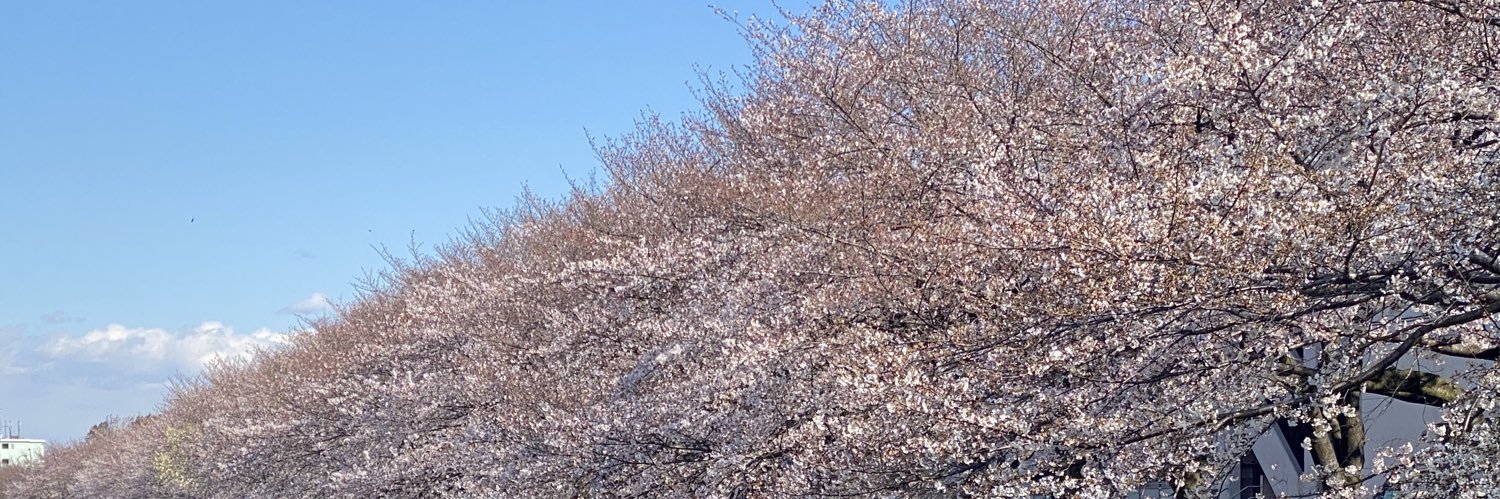 ohchan1123's profile banner image