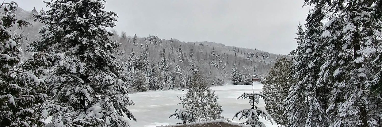 Jocelyne Gauthier banner