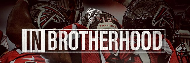 falcons_spain's profile banner image