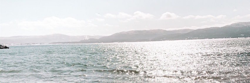 haleykerr_'s profile banner image