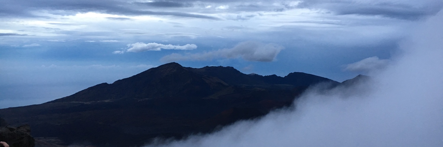 Simon Says Vote Blue!!! 🇺🇦 🌻 banner