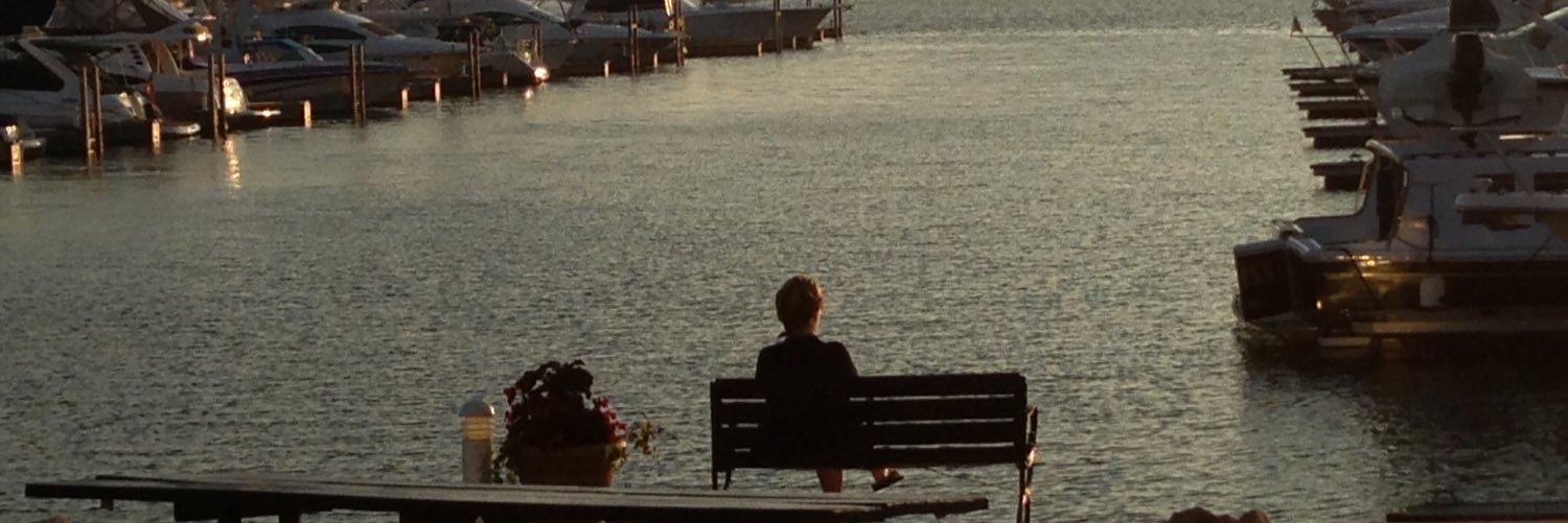 The Swamp King banner