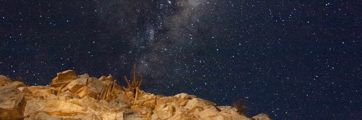 ruzko_'s profile banner image