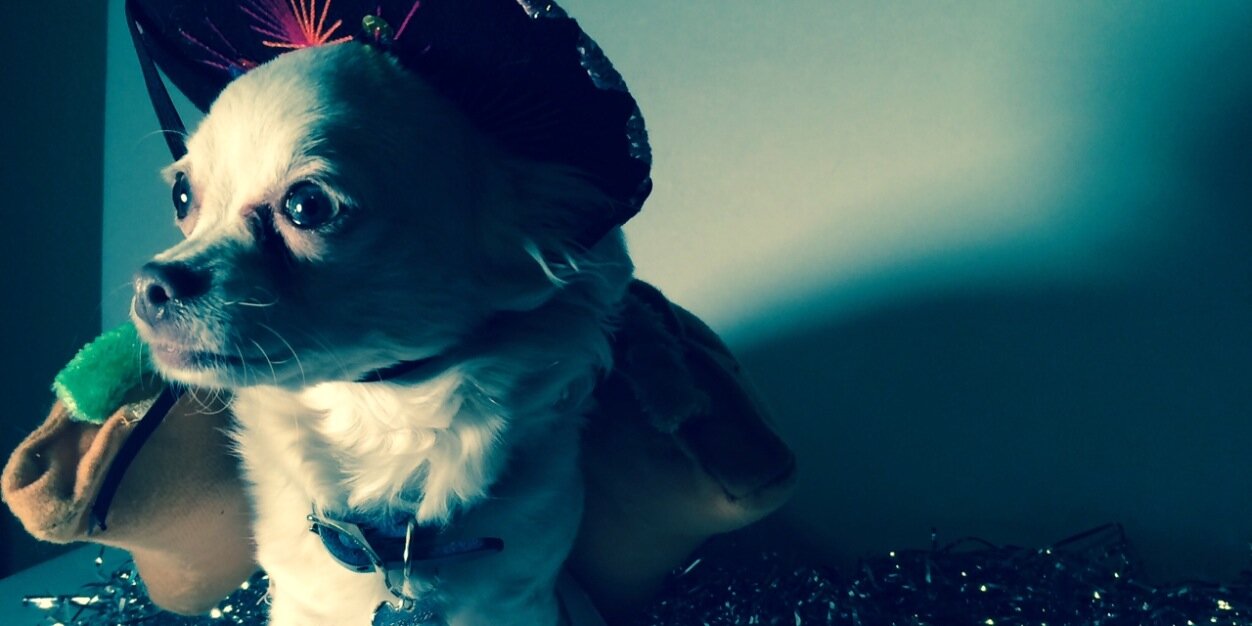 K_Loux's profile banner image