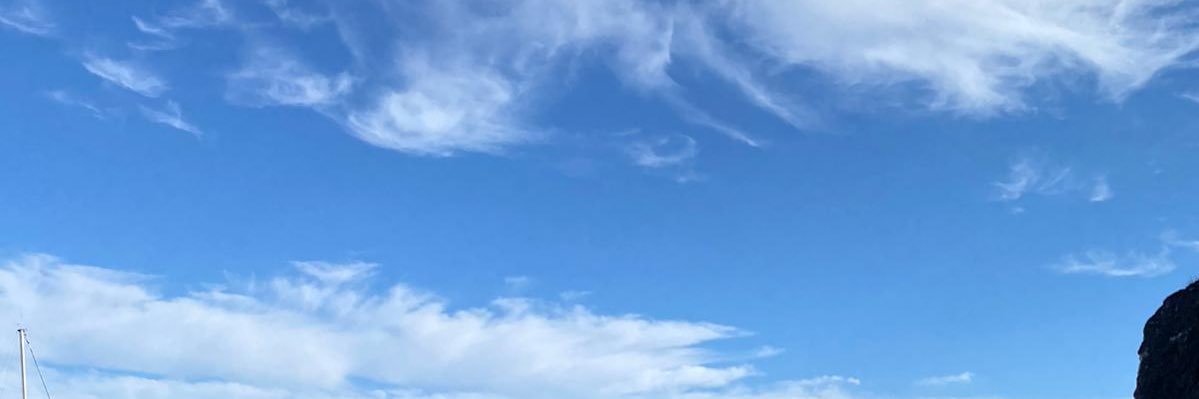 Cidadão exemplar banner