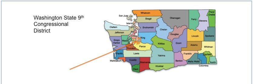 Indivisible WA 9 banner