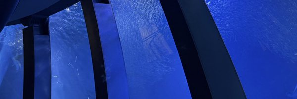 kishima0316 Profile Banner