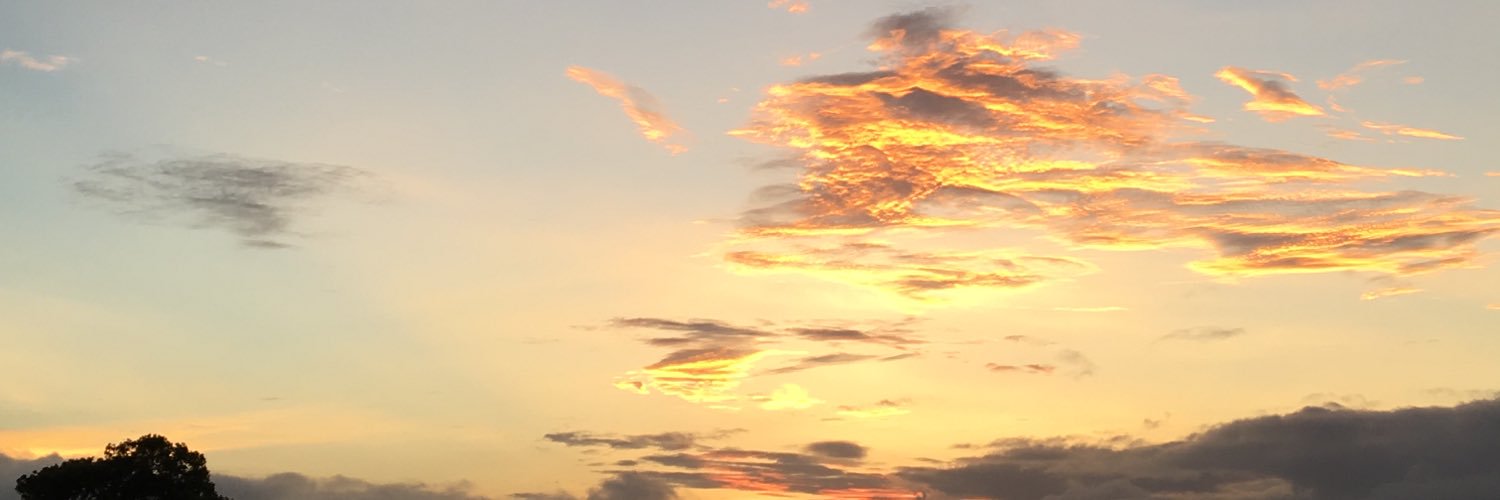 tutyan's profile banner image