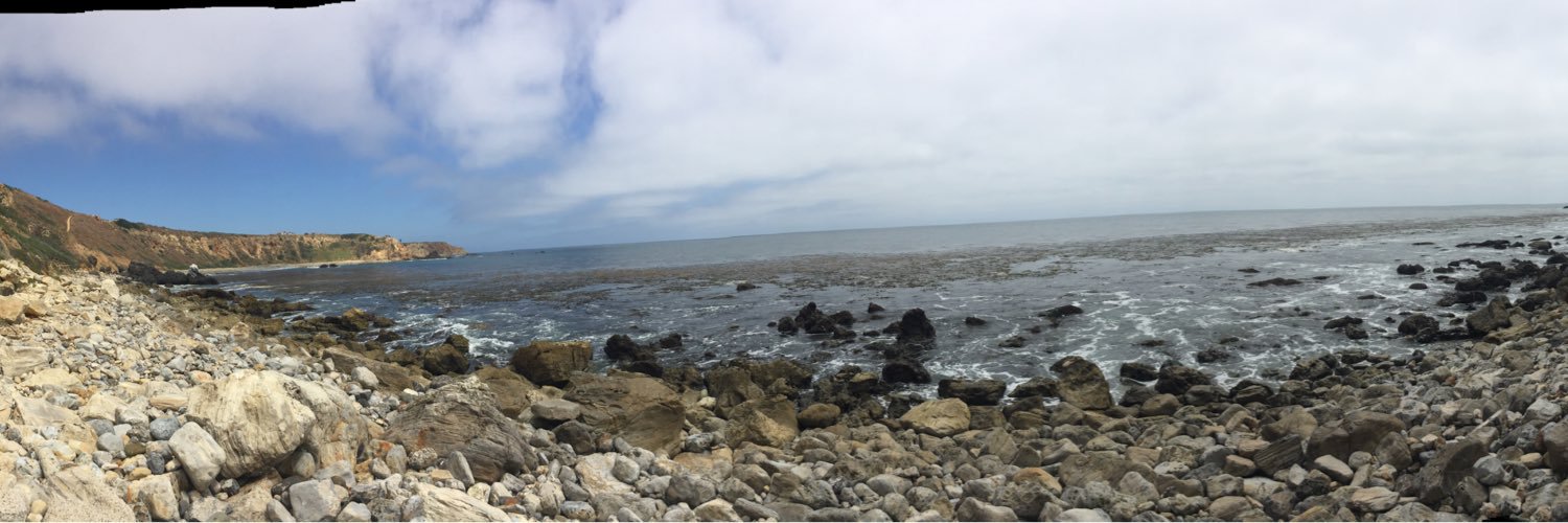 Brian Parlett banner