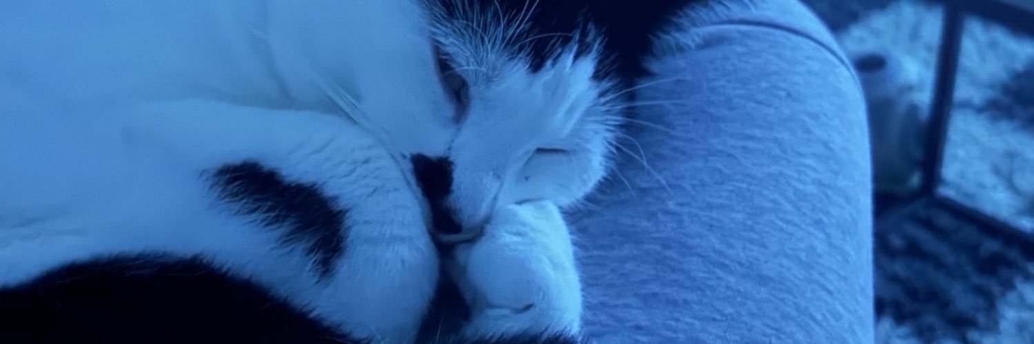 ClementRnl's profile banner image