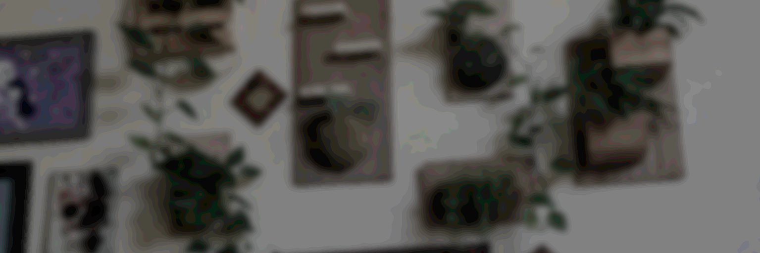 GardenParty405's profile banner image