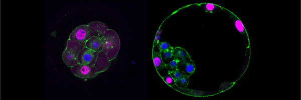 ClaudiaGerri Profile Banner