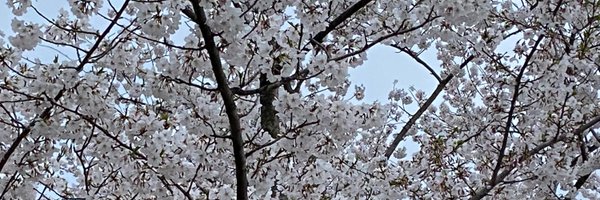 SaraEBerkey Profile Banner