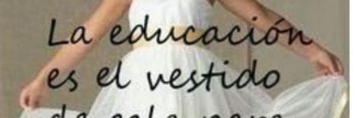 ELienvi's profile banner image