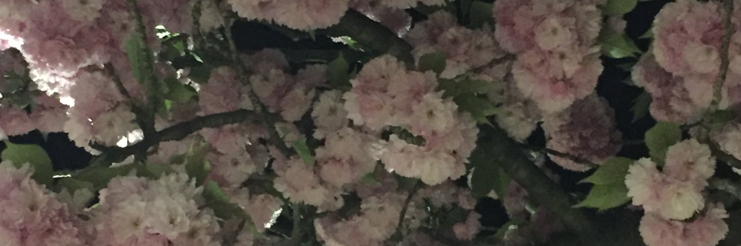 Brynn.just.Brynn banner