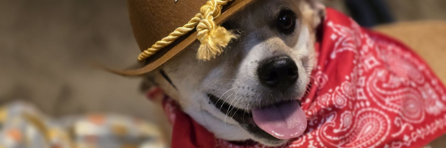 peanutastronaut's profile banner image