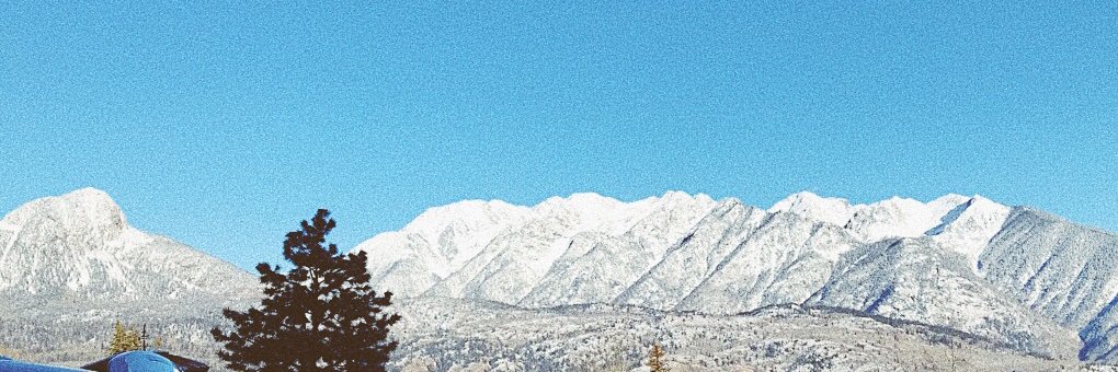 allierankinn's profile banner image