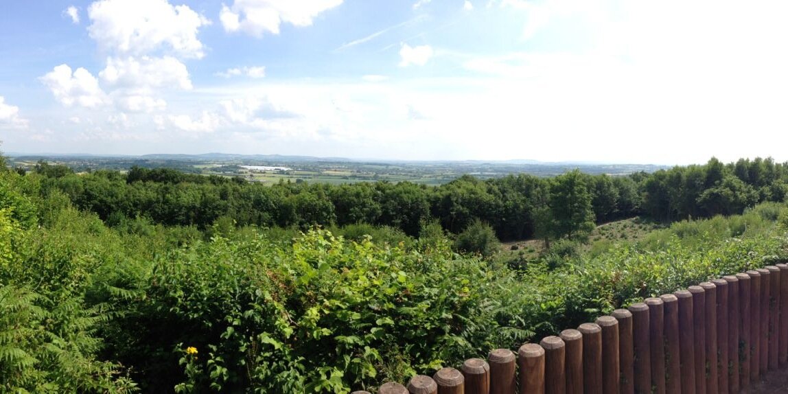 Andrew Easton banner