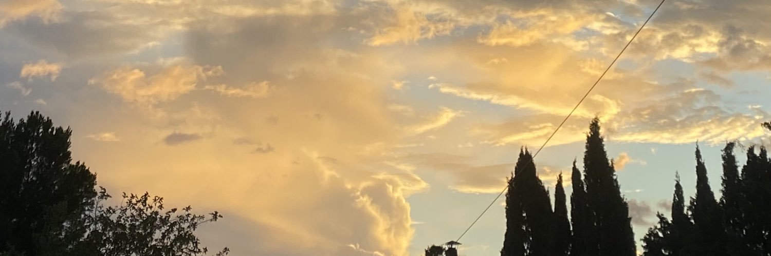Nara_Chiss's profile banner image