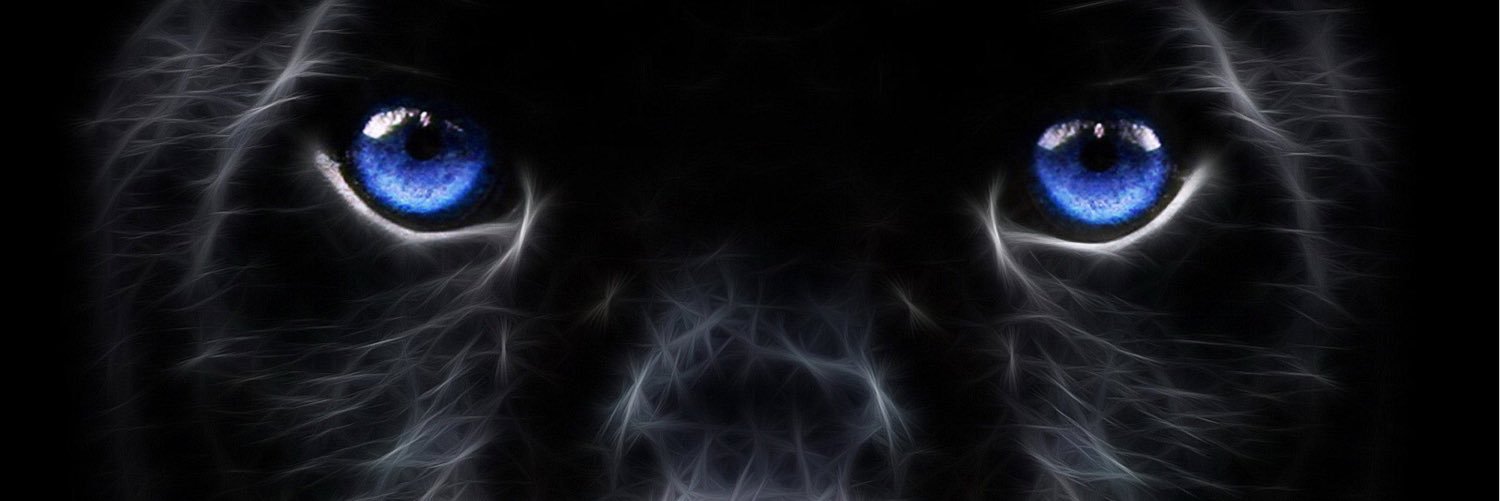 CWABasketball's profile banner image
