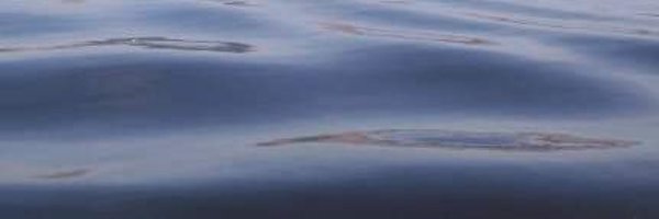 writersblock08 Profile Banner