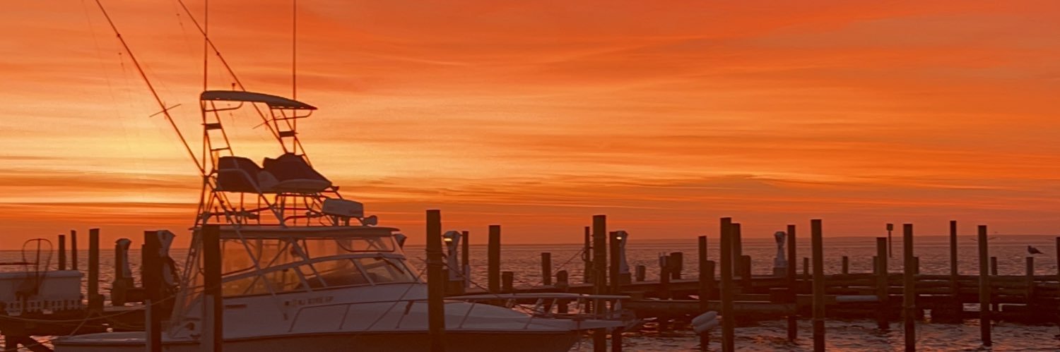 camsh3p's profile banner image