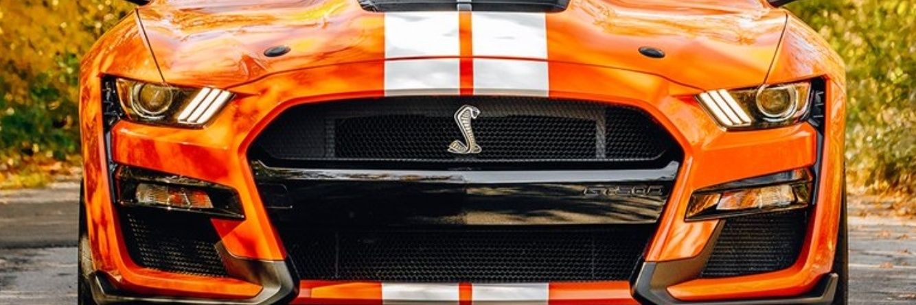 291Tiger's profile banner image